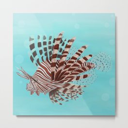 Lionfish Metal Print | Lionfish, Fins, Reef, Water, Blue, Ocean, Transparency, Fish, Venomous, Colors 