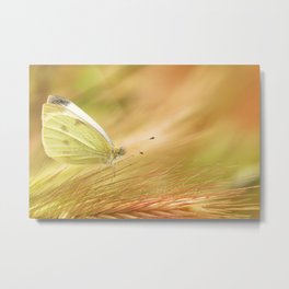 Etereal Metal Print | Photo, Nature, Grass, Warm, Butterfly, Elegant, Cold, Lovely, Etereal, White 