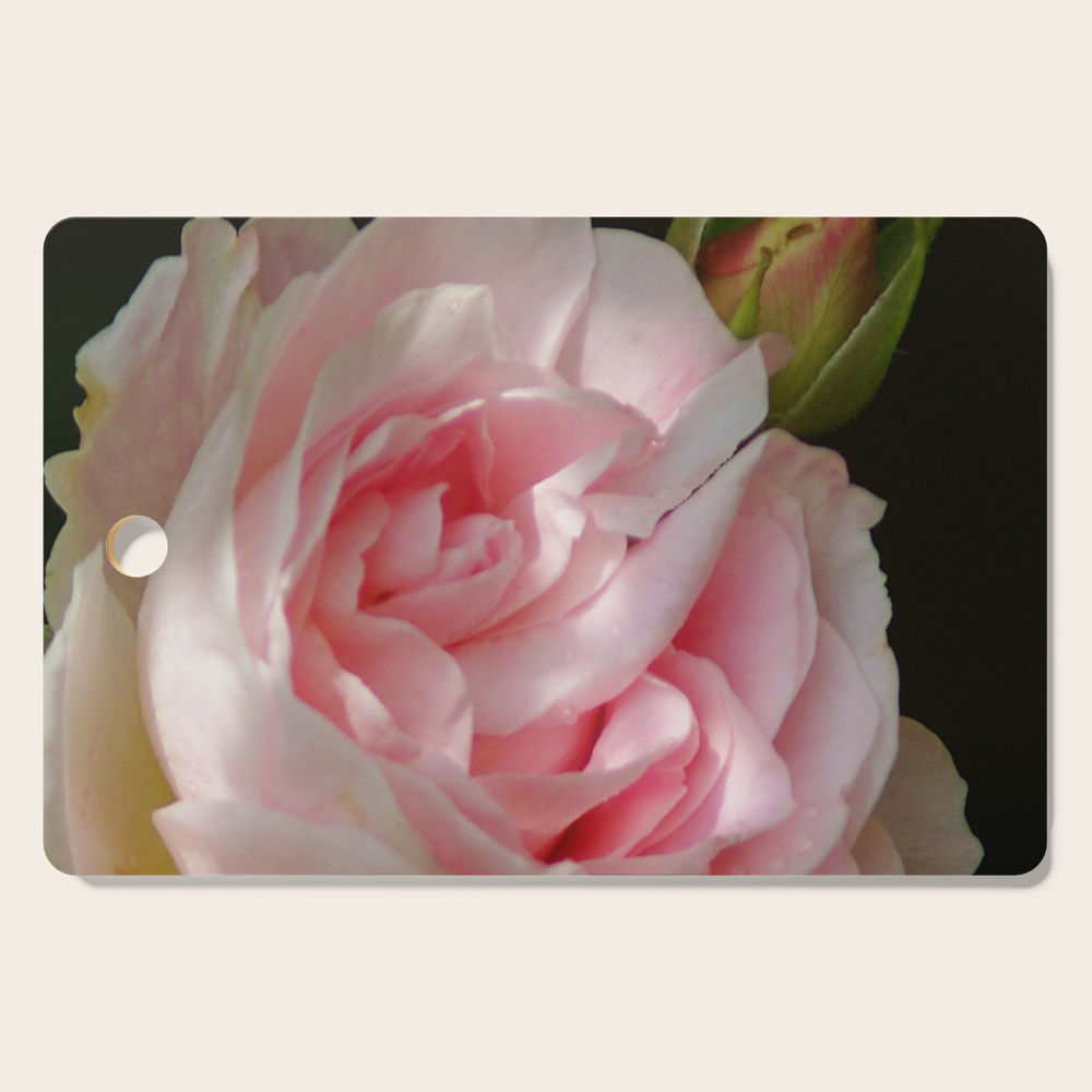 Rose Petal Cottage Compare Prices On Gosale Com