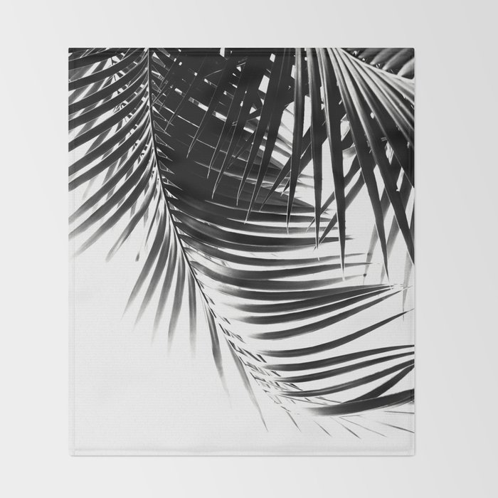 Palm leaves black white vibes 1 tropical decor art society6 Palm leaves black white vibes 1 tropical decor art society6