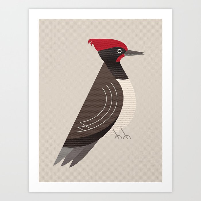 Whimsy White-bellied Woodpecker Art Print
