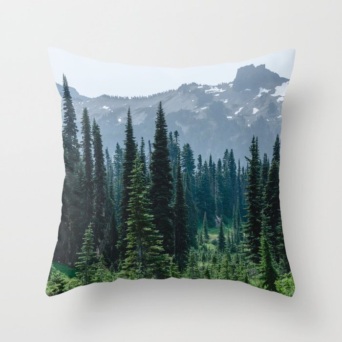 Throw Pillow