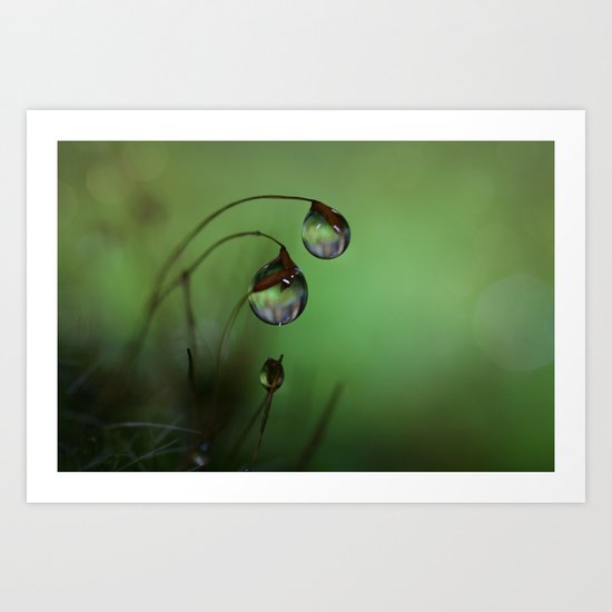 Dusk Art Print