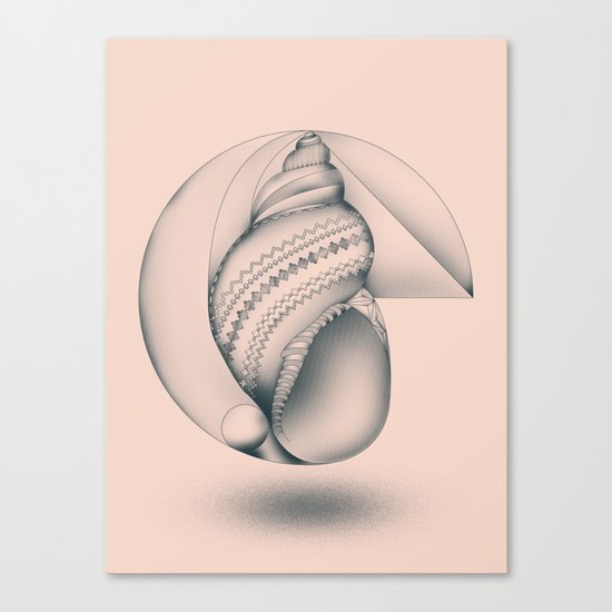 Mathematical Nurture Canvas Print