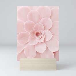 Blush Succulent Mini Art Print