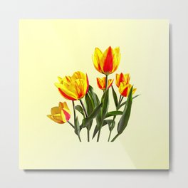 Red and Yellow Striped Tulips Metal Print