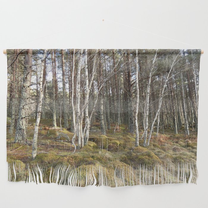 Birch Trees with Pine Trees Winter Scene  Wall Hanging