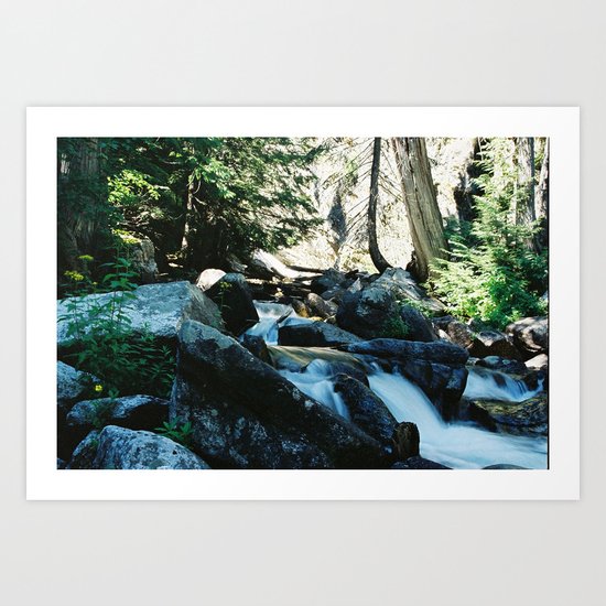 The Falls Art Print