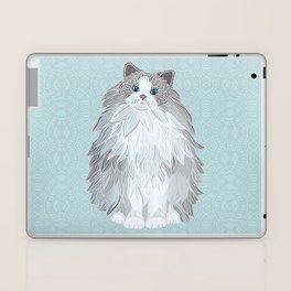 ragdoll chapps