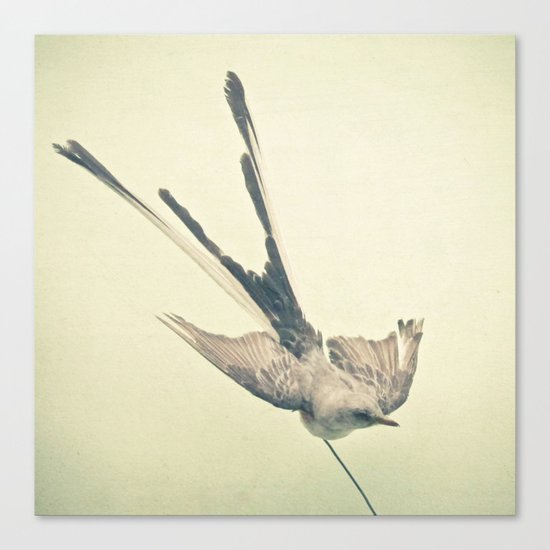 Bird Study #1 Canvas Print