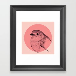 Robin - Red Bird Drawing Framed Art Print