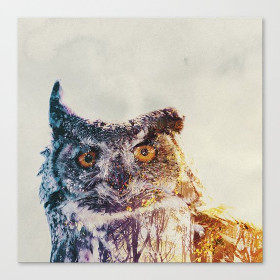 Ugle Canvas Print