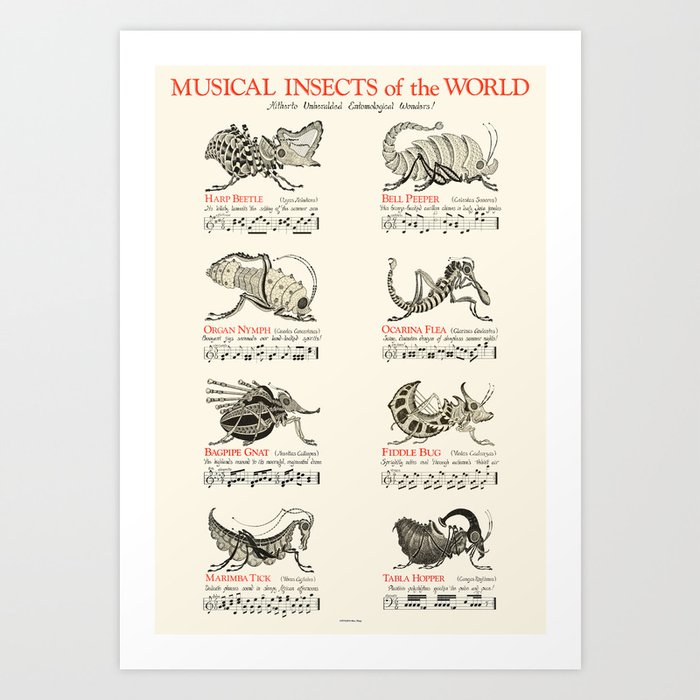 MUSICAL INSECTS OF THE WORLD Art Print