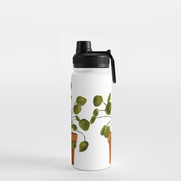 Pilea Modern Indoor Plant  Water Bottle