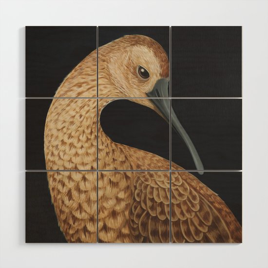 Eskimo Curlew Numenius Borealis Wood Wall Art By Jadafitch