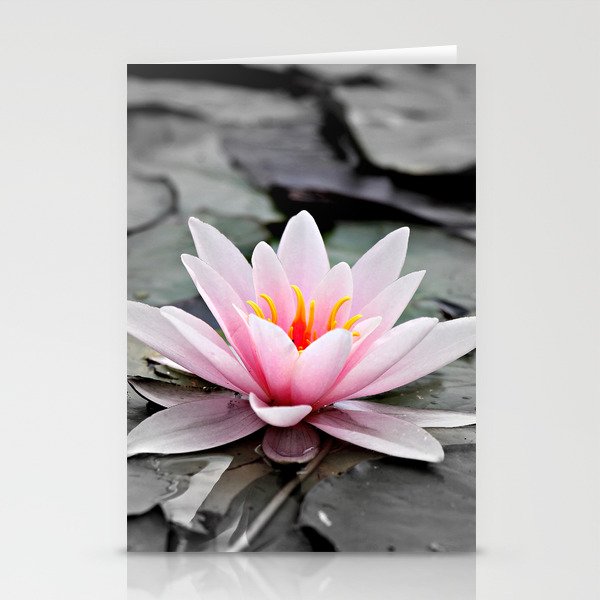 Pink Lotus Flower Waterlily Stationery Cards