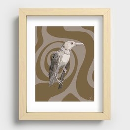 The White Raven Recessed Framed Print
