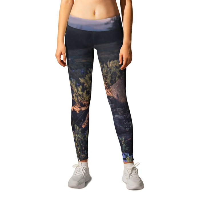 Wildflowers at Dawn - Nature Photography Leggings