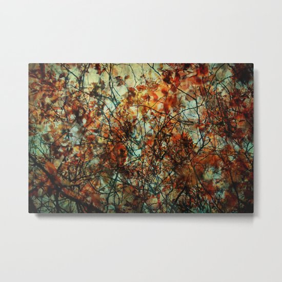Rusty Spring Metal Print