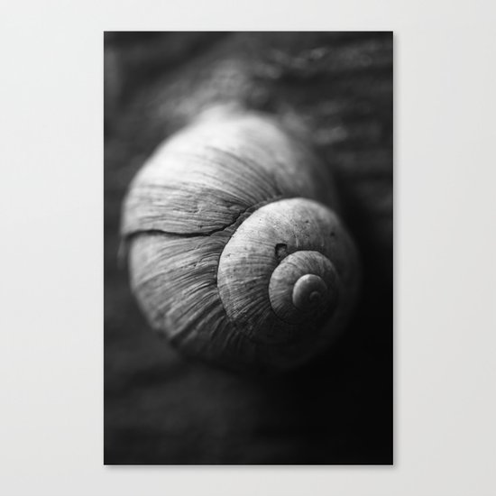snail Canvas Print