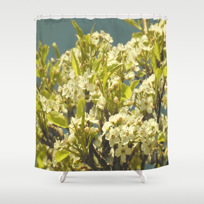 Scottish Highlands Cherry Blossom in the Sun Shower Curtain