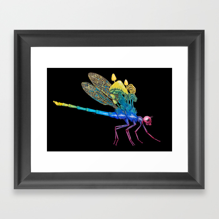 Watch Your Back Rainbow Dragonfly Framed Art Print By Petitplat