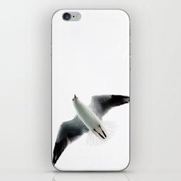 Seagull flyover iPhone Skin