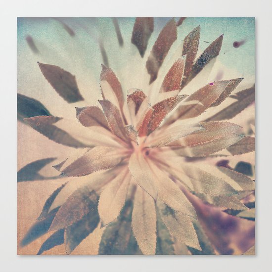 Vintage agava. Canvas Print