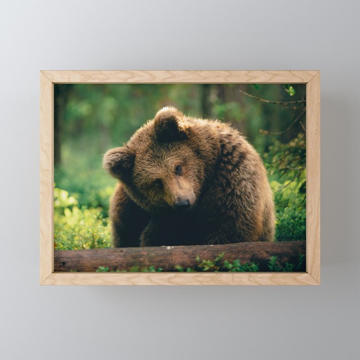 Brown Bear Art Print Framed Mini Art Print