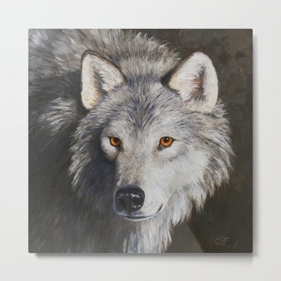 Gray Wolf Face Metal Print