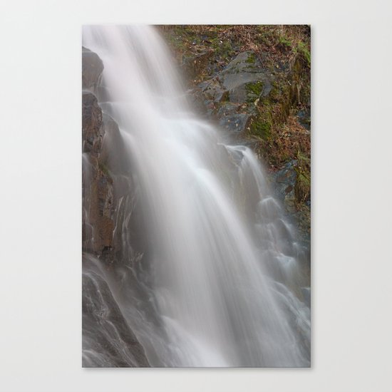 Jones Run Falls Canvas Print