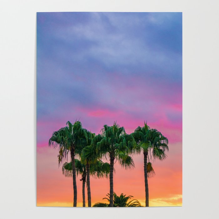 Cotton Candy Pink Palm Tree Sunset Poster