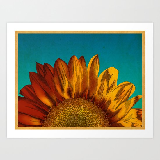 A Sunflower Art Print