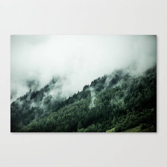 Foggy Woods 1 Canvas Print