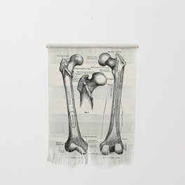 Vintage Anatomy Osteology The Human Femur Wall Hanging