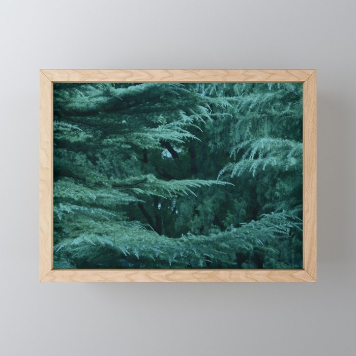 Forest by Lika Ramati Framed Mini Art Print