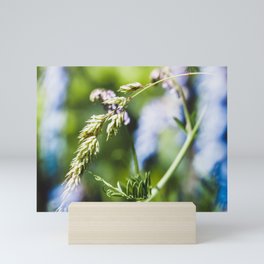 Soft Meadow Grass Photograph Mini Art Print