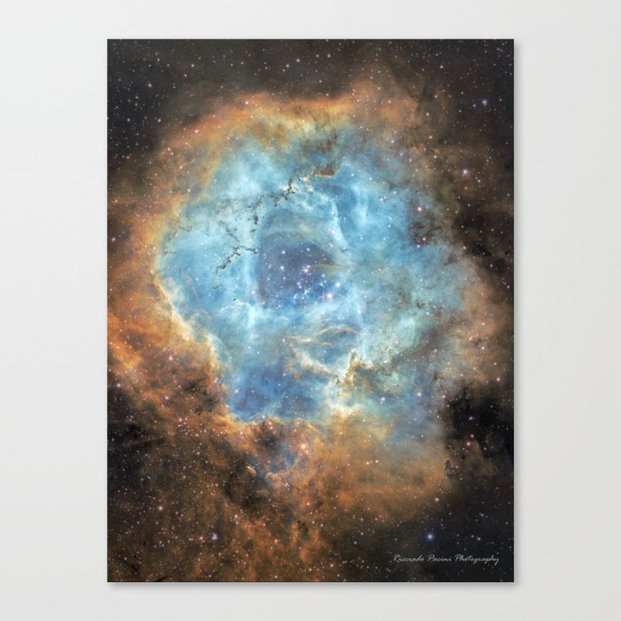 rosette nebula Canvas Print