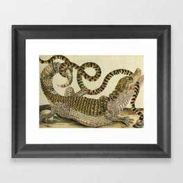  Crocodile battles snake pattern Framed Art Print