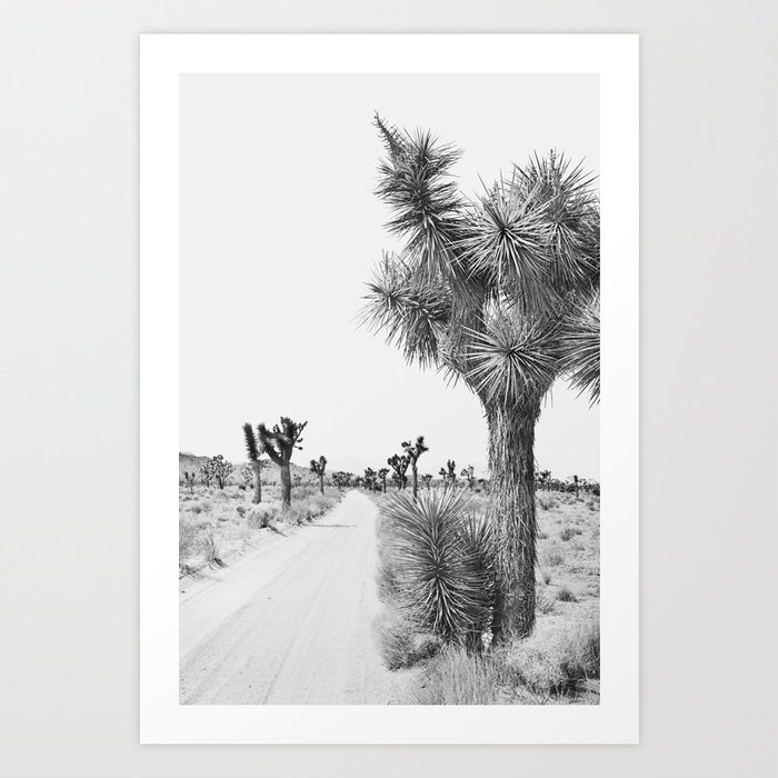 Joshua Tree Path - Black and White Photography, Landscape Photography Art Print