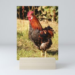 Free Range Chicken Vert Mini Art Print