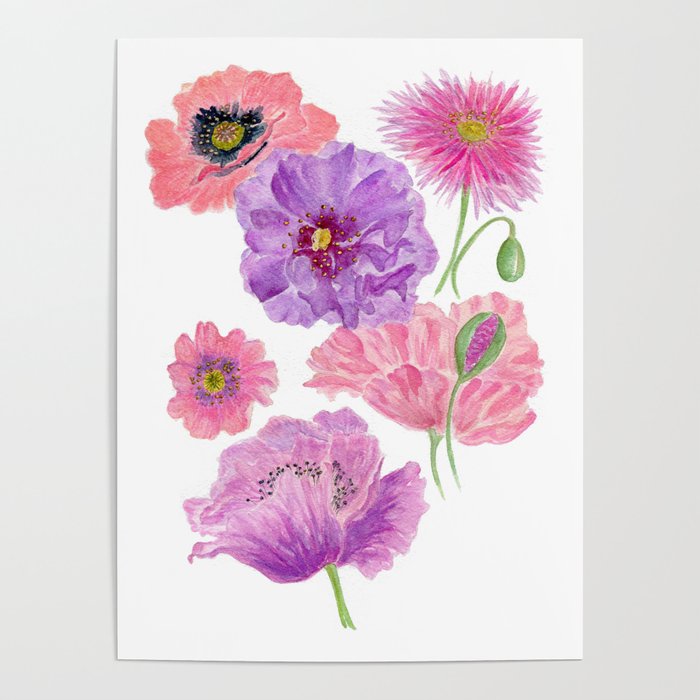 Watercolour Poppies Poster
