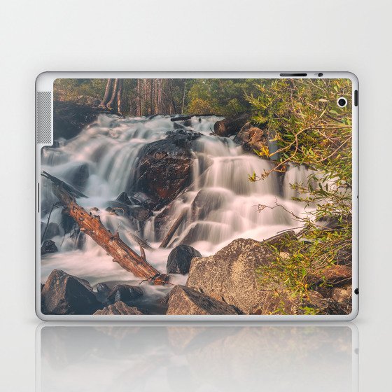 Lee Vining Creek Falls Laptop & iPad Skin