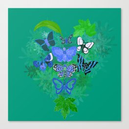 Butterfly Magic Canvas Print