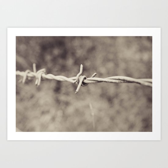 Barbwire Art Print