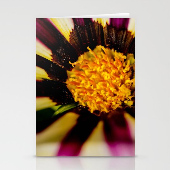 Purple and White Stationery Cards