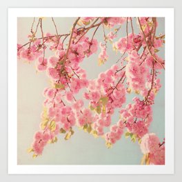 spring blossoms Art Print