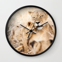 Lioness and a cub cuddling together; fine art travel photo Wall Clock