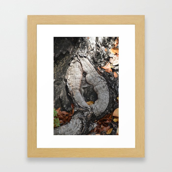 Tree Trunk O or Q letter Framed Art Print