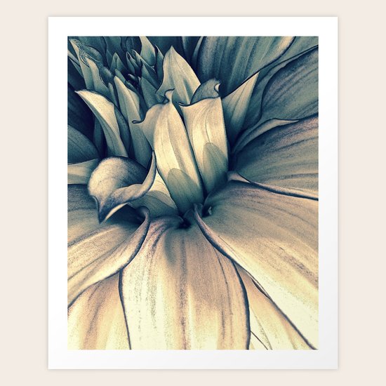 Faded Dahlia Art Print
